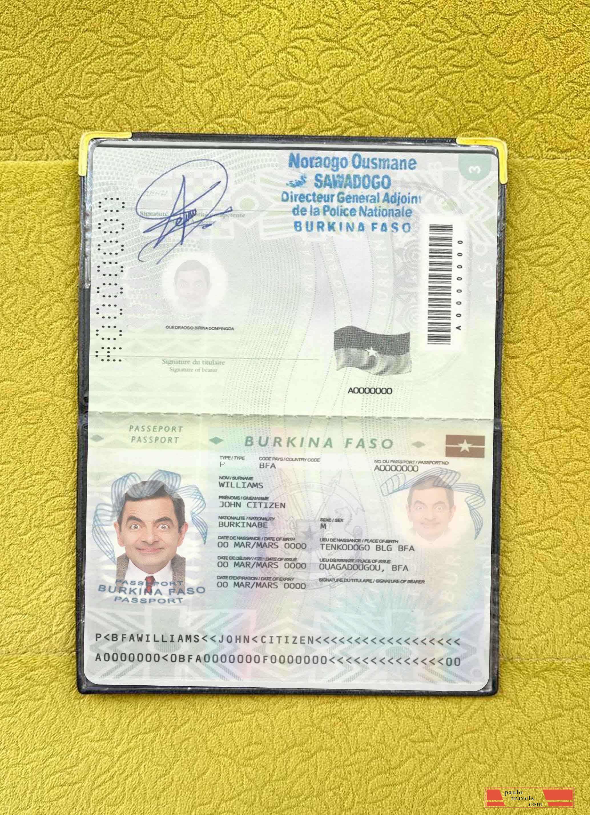 Burkina Faso pass (2008 2018) photo look PSD template